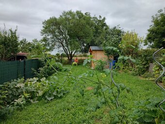 Pronájmu zahradu. - 7