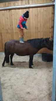 Pony klisna - 7