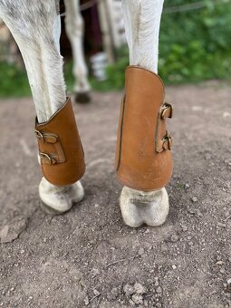 Ohlávky cob,pony, zadní chrániče, zvony - 7
