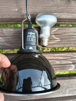 Plně zařízené terárium - 7