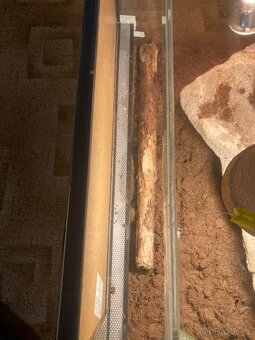 Prodam uzivku cervenou i s terariem - 7