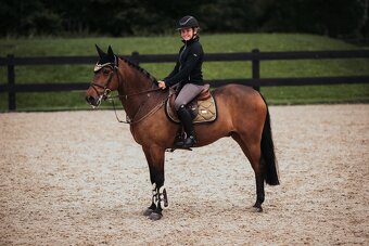 Equestrian Stockholm Golden Brass DL a COB - 7