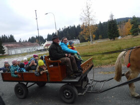 SÁNĚ A VŮZ ZA KONĚ - prodám - 7