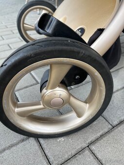 Mima xari - 7