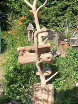 Kočičí strom, škrabadlo - 7