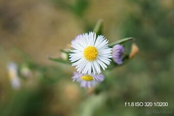 Carl Zeiss 24mm f/1.8 pro Sony E (APS-C) - 7