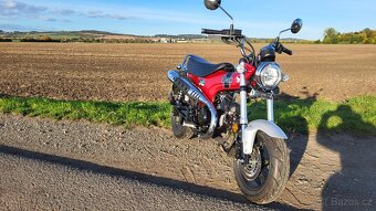 Honda Dax 125 - 7