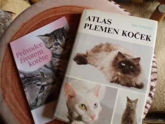 knihy o zvířatech,pavouci,ryby,užovka,holubi,králíci,brouci - 7