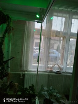 Bytový skleník na epifytní rostliny - 7