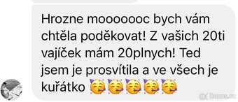 Násadová vejce na barevný dvorkový mix - 7