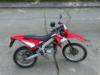 Gilera RCR 50 - 7