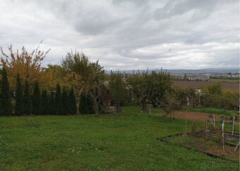 Prodej zahrady s chatkou ve Slavoníně, Olomouc - 7