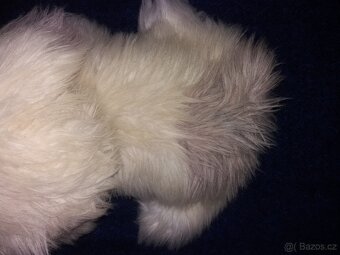 Velký plyšový pejsek - 50 cm - 7