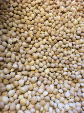 Polstarek k uleve bolesti - 7