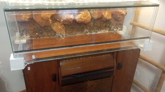 XXL terárium 100 cm v Top Stavu - 7