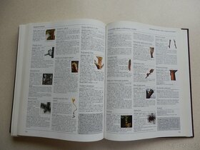 Velká zahrádkářská encyklopedie - nová - 7