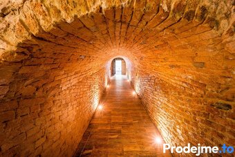 Prodej vinného sklepu, 182 m2 - Dyjákovice, ev.č. 01221 - 7