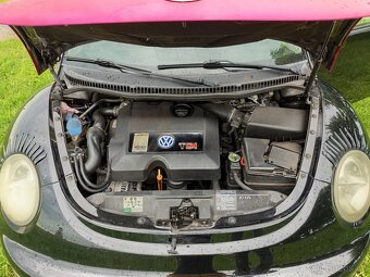 VW New Beetle - 7