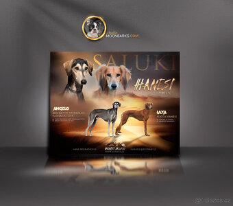 Moonbarks - Designová grafika pro chovatele - od r. 2009 - 7