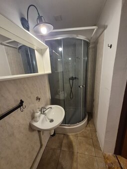 Pronájem bytu 1+kk o velikosti 40 m2 - České Budějovice - 7