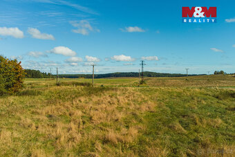 Prodej pozemku k bydlení, 1391 m², Přimda - 7
