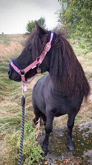 Ježdéní / Pony / školka - 7