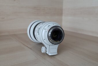 Canon EF 300mm f/2.8 L IS USM + Canon Extender EF 1.4x II - 7