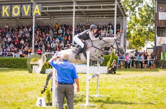 Klisna do sportu - 7