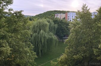 bez PROVIZE - dlouhodobý pronájem bytu 1+1, OV, Bílina - 7