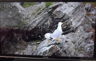 LED TV  ORAVA  82cm - 7