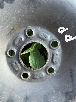 Plechový kola 5x108 Ford C-max 205/55/R16 - 7