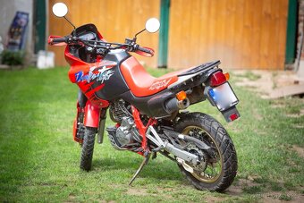 Honda NX 650 Dominator - 7