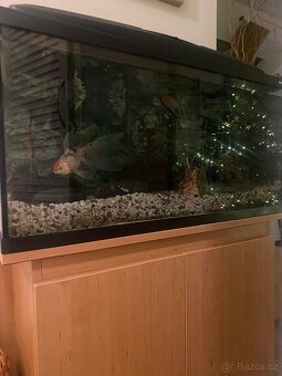 Akvarijni set vc. prisl., rybicek a skrinky pod akvarium - 7