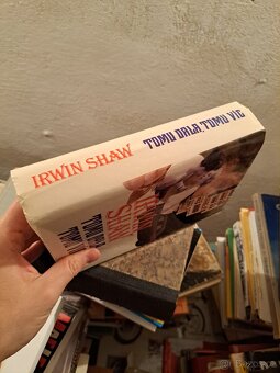 Irwin Shaw - Tomu dala, tomu víc - 7