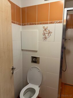 Dlouhodobý pronájem 1+1 Karlovy Vary - 7