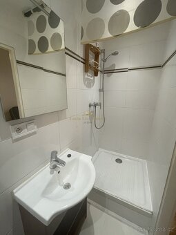Pronájem bytu 1+kk, 17 m², Praha 10 – Vršovice, ulice Holand - 7