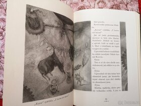 PŘÍBĚH O ZOUFALKOVI - 7