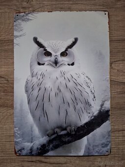 Plechová cedule 20x30cm černobílá - 7