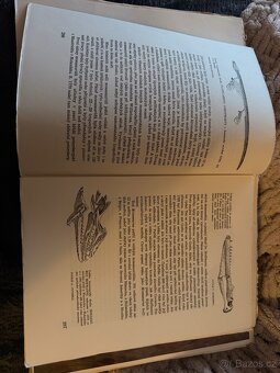 Divy prasvěta 1. vydání 1942 - 7