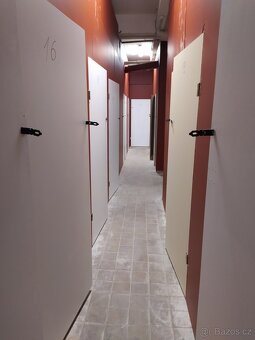 SLADOVACI KOJI PLZEN. - 7