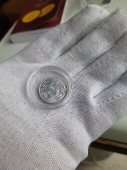 5 haliernik 1955 - 7