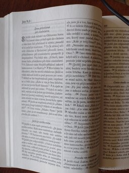 Nový Zákon, Evangelium - 7