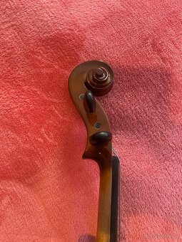 Violi - 7