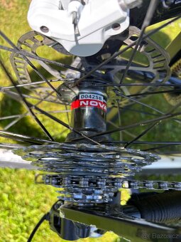 Pells Razzer PRO - 7