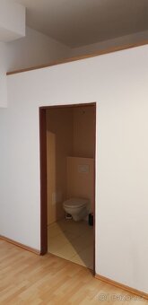 Pronájem zrekonstruovaného bytu 2+kk, Hálkova ulice, Plzeň - 7