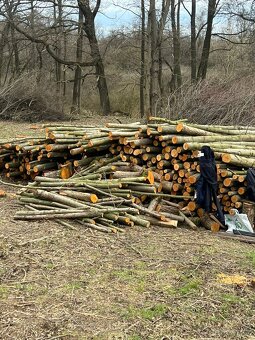 Palivové dříví - 7