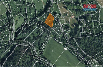 Prodej lesa, 2062 m², Koberovy - 7