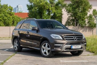 Mercedes-Benz ML 350 BLUETEC 4MATIC - 7
