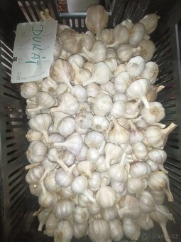 Brambory česnek - 7