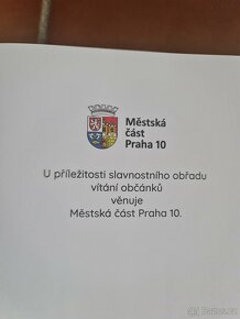 klasická zavinovačka - 7